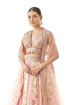 Devyani Lehenga Set